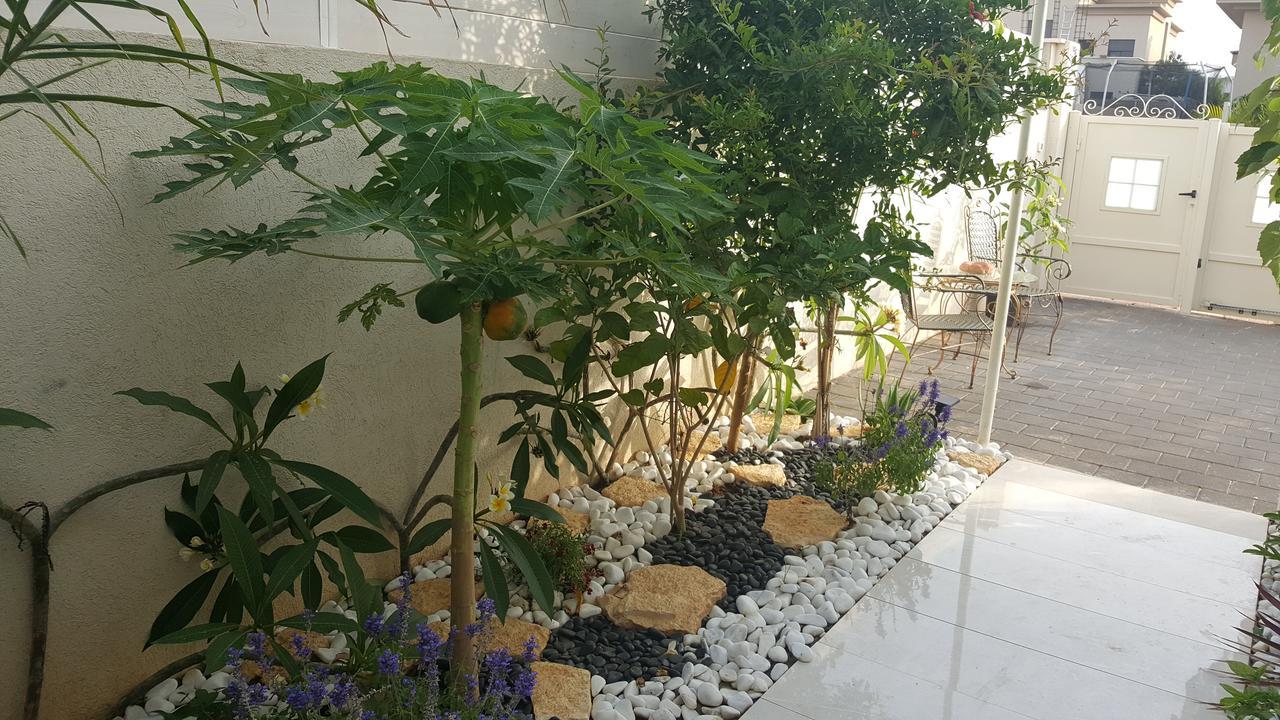 Regina'S Place Or Akiva Exterior foto